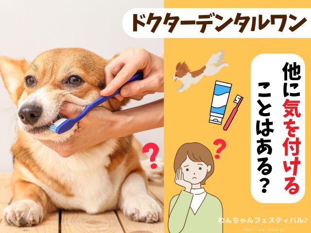 ドクターデンタルワン 効果なし 獣医師 使い方 安全性 成分 感想 評価 レビュー 体験談 歯磨き