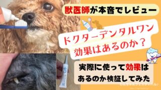 ドクターデンタルワン』口コミを正直レビュー！獣医師が副作用や効果も