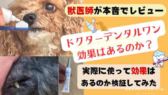 ドクターデンタルワン　効果なし　獣医師　使い方　安全性　成分　感想　評価　レビュー　体験談　歯磨き
