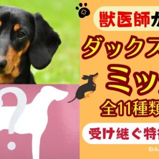 アイキャッチ画像-45-320x320.jpg