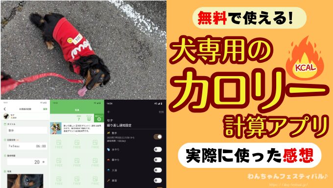 犬のカロリー計算アプリ5選！実際に使った感想も紹介