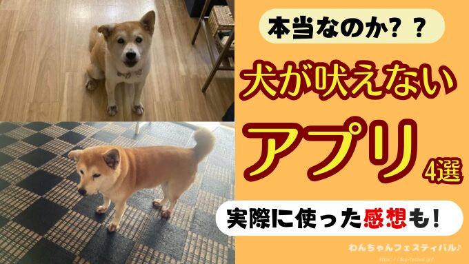 犬が吠えるのをやめさせるアプリ4選！実際に使った感想も紹介