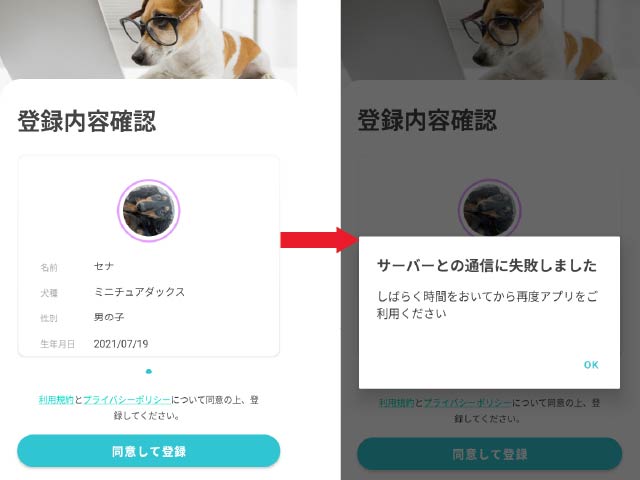 犬 散歩 記録 アプリ 感想 使い方