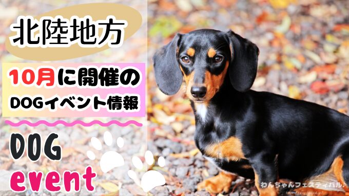 北陸地方　犬イベント　一覧　開催場所　日程　2025　10月