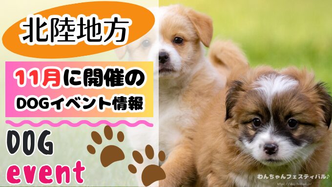 北陸地方　犬イベント　一覧　開催場所　日程　2025　11月