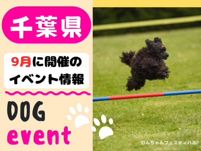 犬イベント 関東 東京 千葉 埼玉 神奈川 群馬 栃木 茨城 2025年 9月