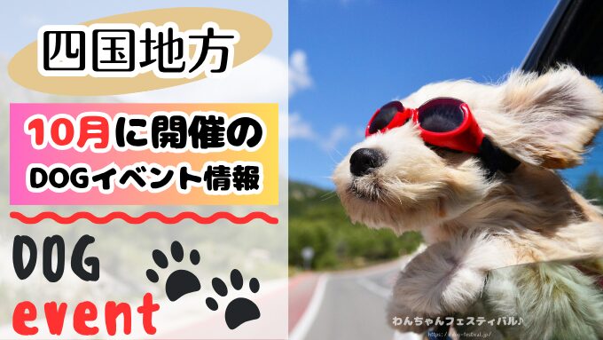 四国　犬イベント　一覧　開催場所　日程　2025　10月
