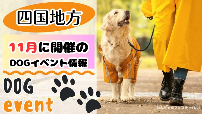 四国　犬イベント　一覧　開催場所　日程　2025　11月