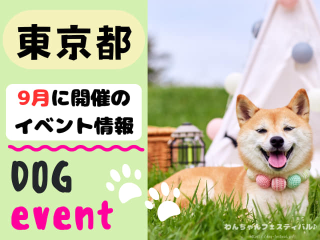 犬イベント 関東 東京 千葉 埼玉 神奈川 群馬 栃木 茨城 2025年 9月