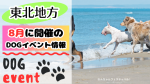 東北地方　犬イベント　一覧　開催場所　日程　2025　8月