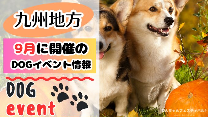九州　犬イベント　一覧　開催場所　日程　2025　9月