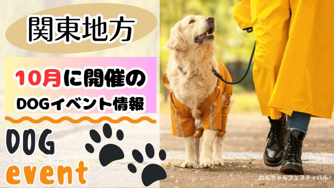 犬イベント　東海地区　静岡県　愛知県　三重県　岐阜県　山梨県　2025年　10月