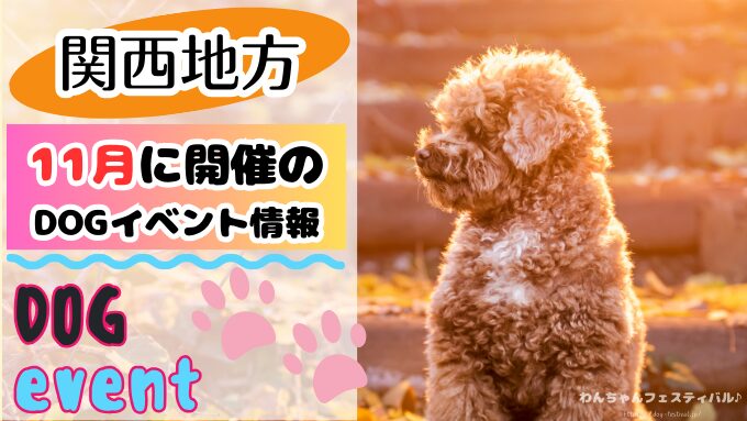 関西　犬イベント　一覧　開催場所　日程　2025　11月　大阪府　京都府　兵庫県　奈良県　滋賀県　和歌山県