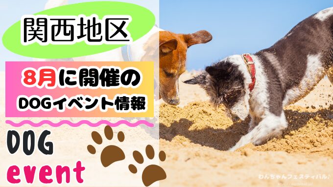 関西　犬イベント　一覧　開催場所　日程　2025　8月　大阪府　京都府　兵庫県　奈良県　滋賀県　和歌山県