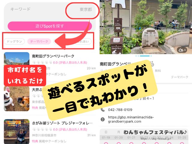 九州　犬イベント