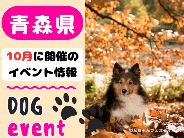 犬イベント 東北地方 青森県 岩手県 秋田県 宮城県 山形県 福島県 2025年 10月