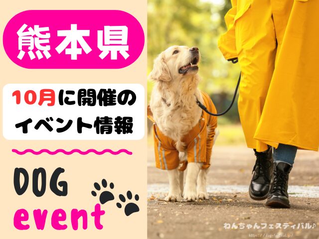 犬イベント 九州 福岡県 佐賀県 長崎県 熊本県 大分県 宮崎県 鹿児島県 2025年 10月