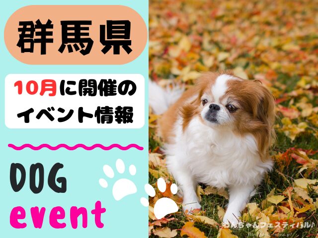 犬イベント　東海地区　静岡県　愛知県　三重県　岐阜県　山梨県　2025年　10月