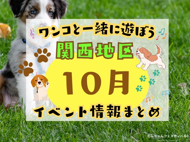 関西　犬イベント　一覧　開催場所　日程　2025　10月　大阪府　京都府　兵庫県　奈良県　滋賀県　和歌山県