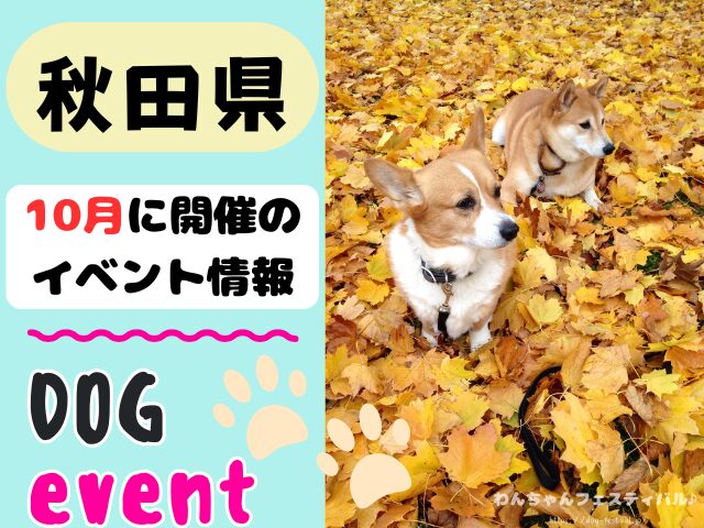 犬イベント 東北地方 青森県 岩手県 秋田県 宮城県 山形県 福島県 2025年 10月