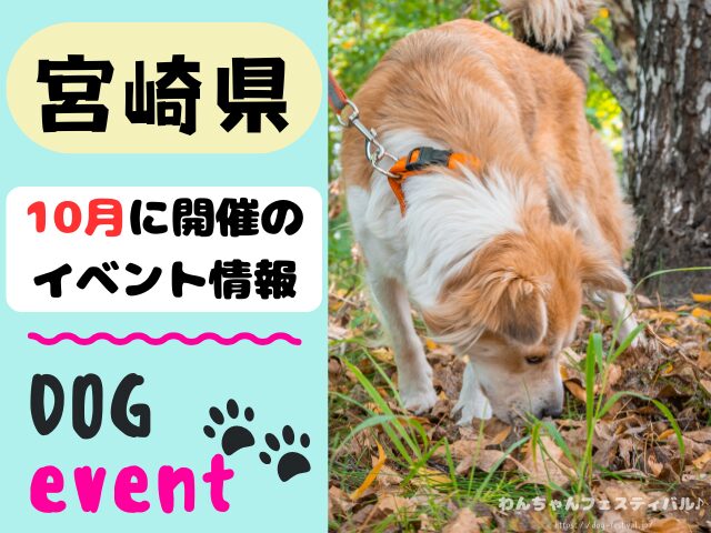犬イベント 九州 福岡県 佐賀県 長崎県 熊本県 大分県 宮崎県 鹿児島県 2025年 10月