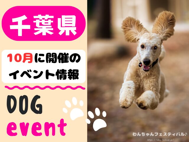 犬イベント　東海地区　静岡県　愛知県　三重県　岐阜県　山梨県　2025年　10月