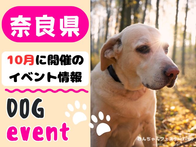 関西　犬イベント　一覧　開催場所　日程　2025　10月　大阪府　京都府　兵庫県　奈良県　滋賀県　和歌山県