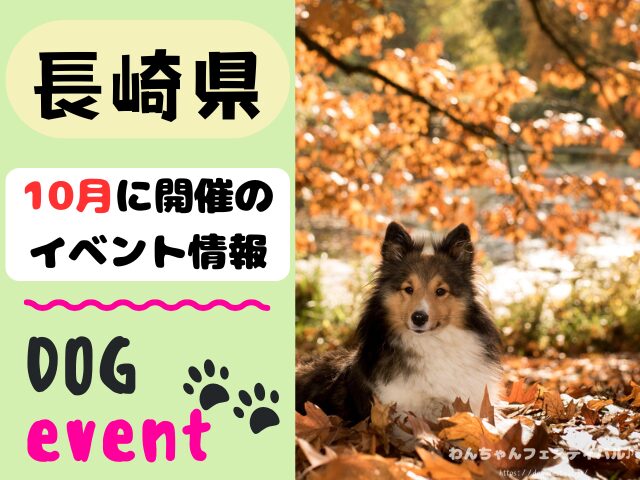 犬イベント 九州 福岡県 佐賀県 長崎県 熊本県 大分県 宮崎県 鹿児島県 2025年 10月