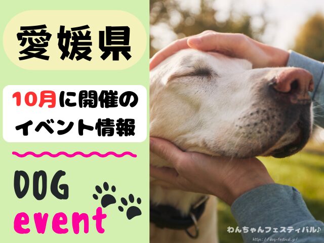愛媛　犬イベント　10月