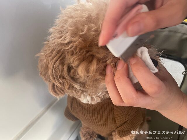 マルプー　涙やけ　対策　適した　ドッグフード　獣医師　臭いの原因　改善