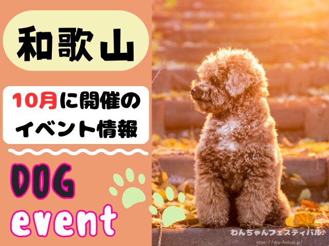 関西　犬イベント　一覧　開催場所　日程　2025　10月　大阪府　京都府　兵庫県　奈良県　滋賀県　和歌山県
