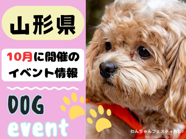 犬イベント 東北地方 青森県 岩手県 秋田県 宮城県 山形県 福島県 2025年 10月