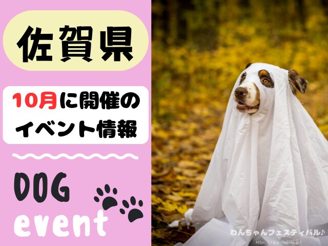 犬イベント 九州 福岡県 佐賀県 長崎県 熊本県 大分県 宮崎県 鹿児島県 2025年 10月