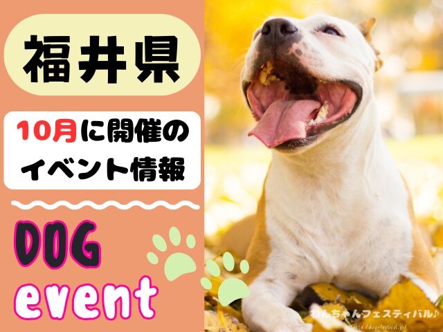 犬イベント　北陸地方　新潟県　富山県　石川県　福井県　2025年　10月