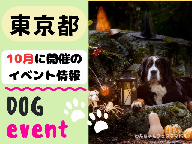 犬イベント　東海地区　静岡県　愛知県　三重県　岐阜県　山梨県　2025年　10月