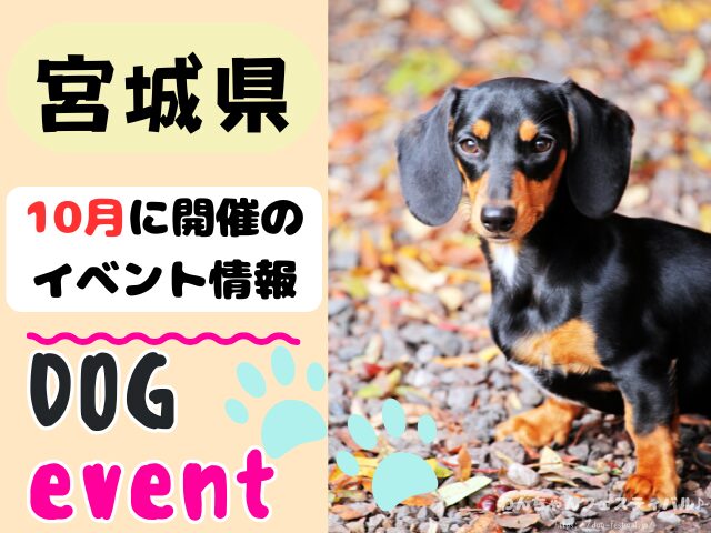 犬イベント 東北地方 青森県 岩手県 秋田県 宮城県 山形県 福島県 2025年 10月