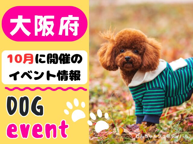 関西　犬イベント　一覧　開催場所　日程　2025　10月　大阪府　京都府　兵庫県　奈良県　滋賀県　和歌山県