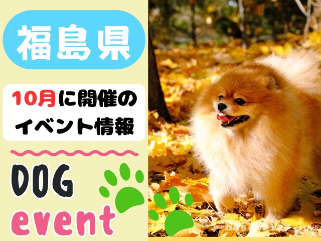 犬イベント 東北地方 青森県 岩手県 秋田県 宮城県 山形県 福島県 2025年 10月
