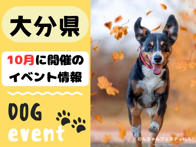 犬イベント 九州 福岡県 佐賀県 長崎県 熊本県 大分県 宮崎県 鹿児島県 2025年 10月