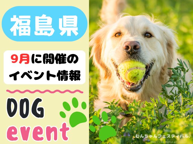 東北地方 犬イベント 一覧 開催場所 日程 2025 9月
