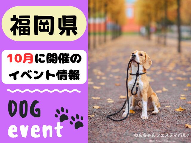 犬イベント 九州 福岡県 佐賀県 長崎県 熊本県 大分県 宮崎県 鹿児島県 2025年 10月