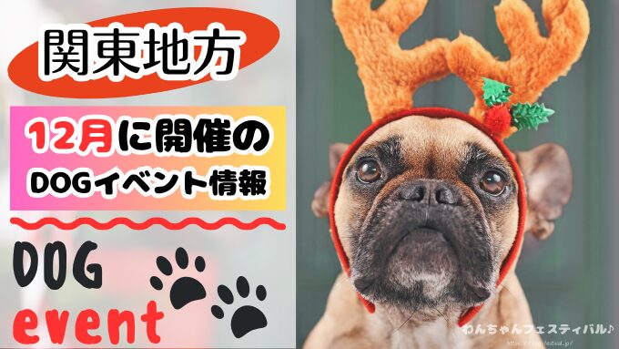 犬イベント　関東地区　東京都　千葉県　神奈川県　埼玉県　群馬県　栃木県　茨城県　2025年　12月