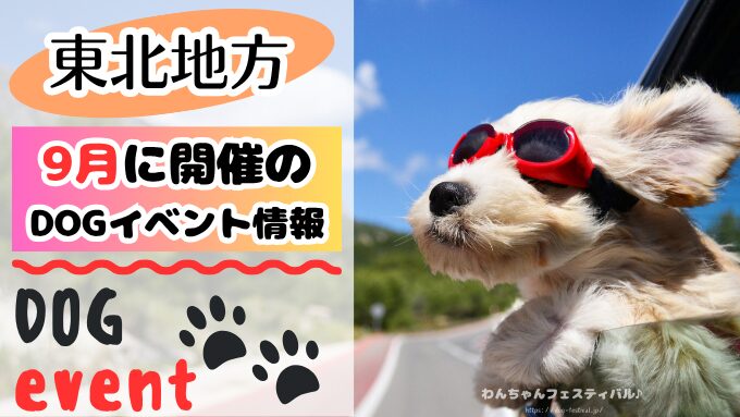 東北地方 犬イベント 一覧 開催場所 日程 2025 9月
