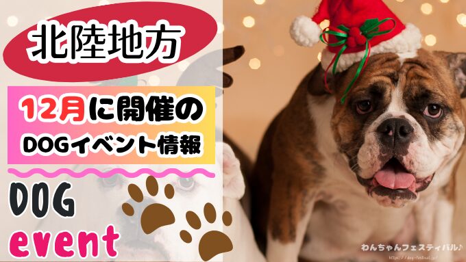 北陸地方 犬イベント 一覧 開催場所 日程 2025 12月