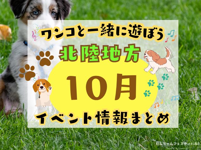 犬イベント　北陸地方　新潟県　富山県　石川県　福井県　2025年　10月