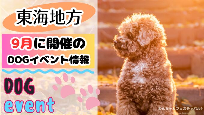 犬イベント　東海地区　静岡県　愛知県　三重県　岐阜県　山梨県　2025年　9月