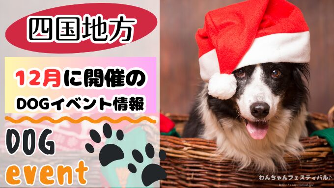 四国　犬イベント　12月　徳島　香川　愛媛　高知