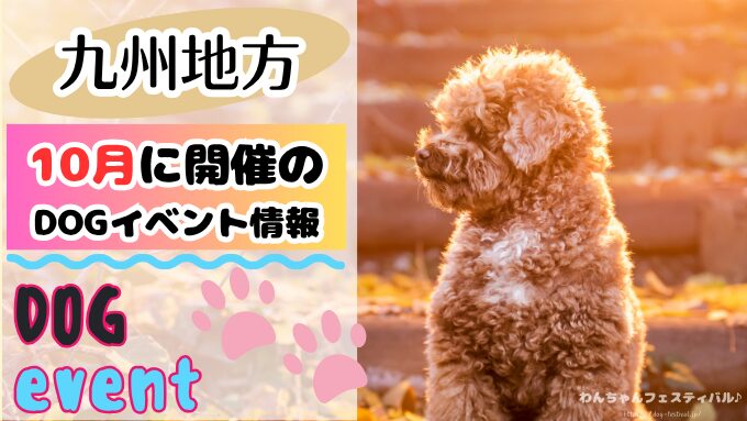九州　犬イベント　一覧　開催場所　日程　2025　10月