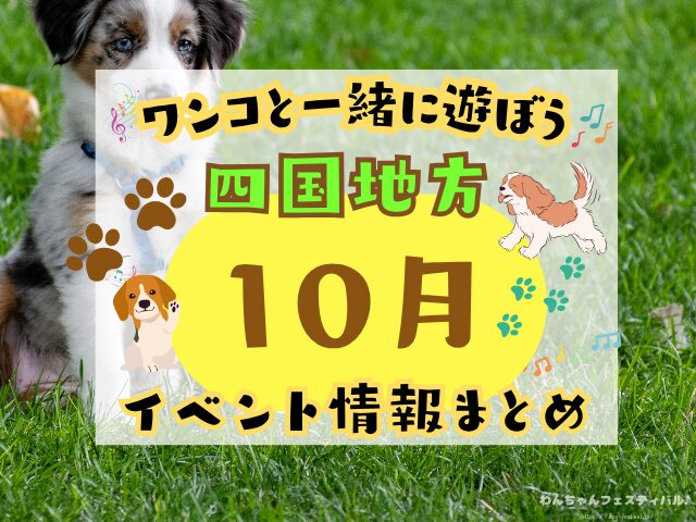 四国　犬イベント　一覧　開催場所　日程　2025　10月
