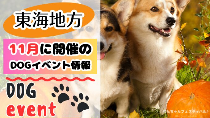 東海　犬イベント　一覧　開催場所　日程　2025　11月